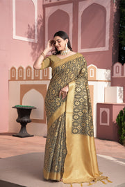 Avika Brown Cotton Ikat Silk Saree